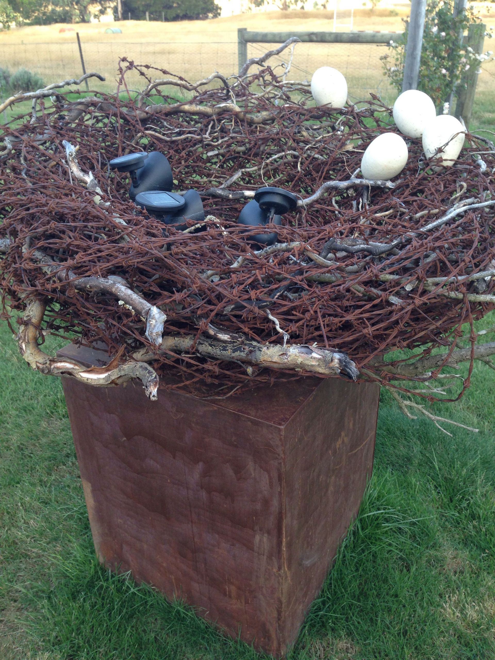 Armoire De Jardin Metal Génial Barbed Wire Birds Nest Sculpture Bendigo Artist