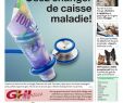 Astuce Jardin Charmant Ghi 14 11 2018 by Ghi & Lausanne Cités issuu