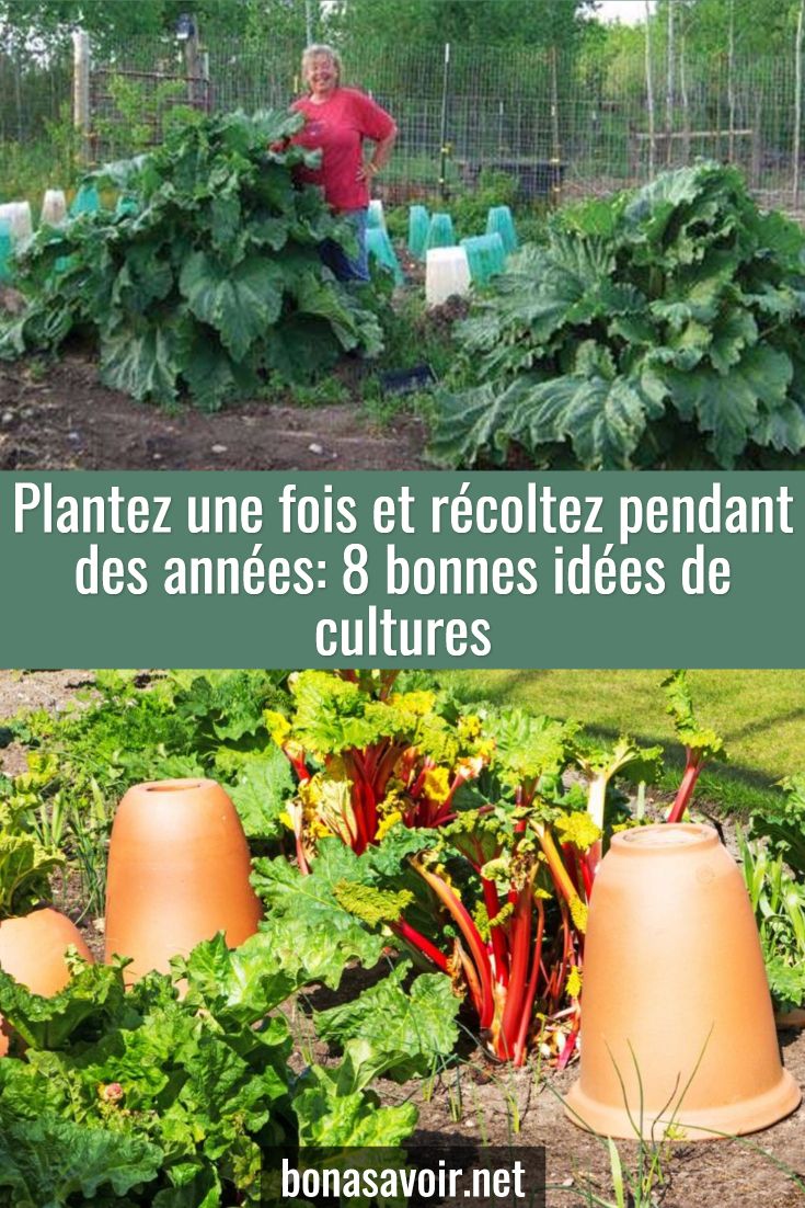 Astuce Jardin Frais épinglé Par Gravouil Sur Jardinage