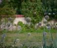 Astuce Jardin Frais Le Clos Chassepline Lodging Reviews Noyers Sur Cher