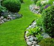 Astuce Jardin Unique 75 Backyard Landscaping Ideas & Trending Designs 2020