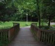 Au Jardin Best Of Vallée Du Cens — Wikipédia