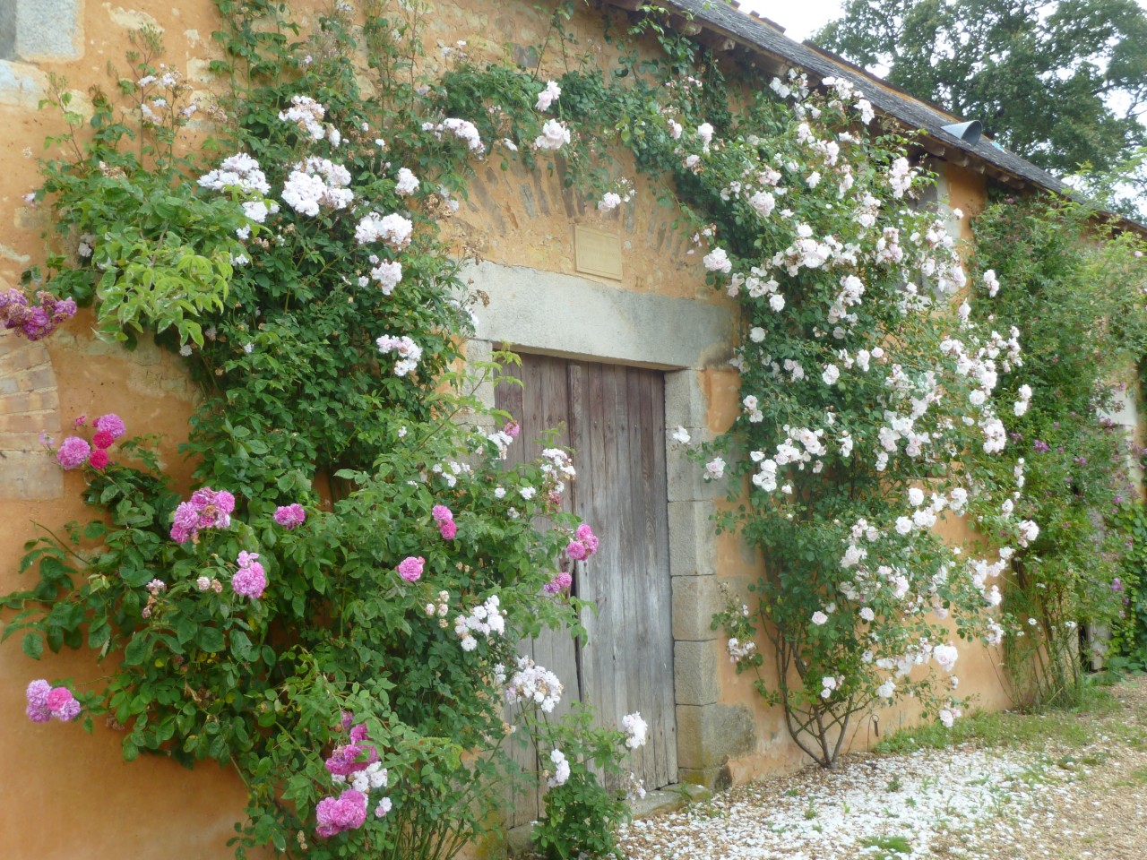 asnieres sur vegre le jardin mosaique