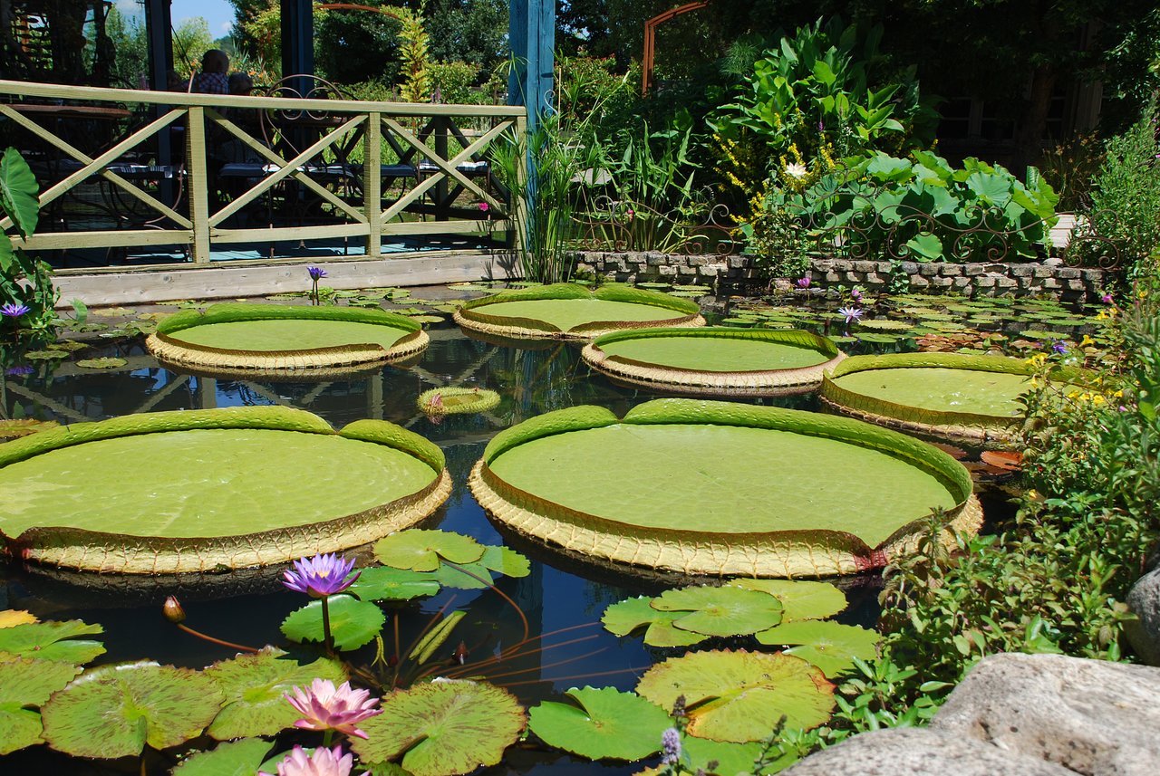 jardin d eau