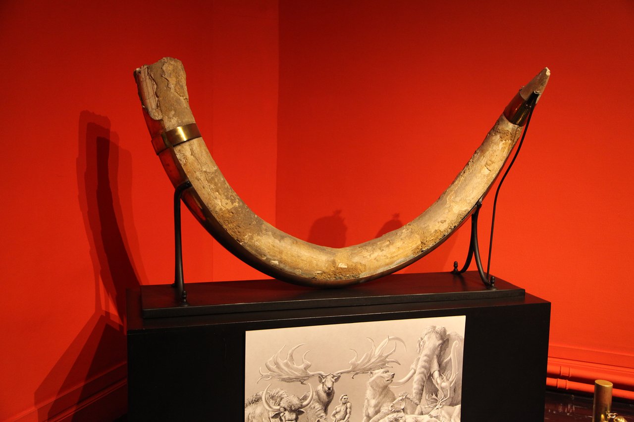 Au Jardin De La Bachellerie Génial Musee D Art Et D Archeologie Du Perigord Perigueux 2020