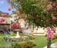 Au Jardin De La Bachellerie Inspirant Vieux Sarlat Sarlat La Caneda 2020 All You Need to Know