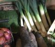 Au Jardin Élégant Légumes Bio Au Jardin De Julien Pléneuf Val andré Producteur