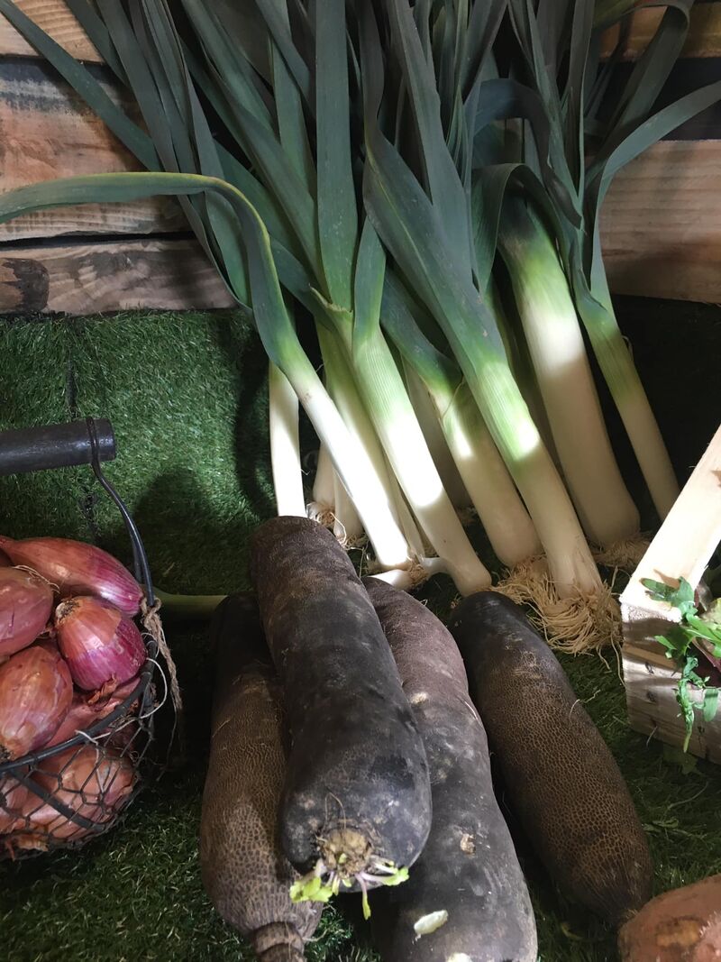 Au Jardin Élégant Légumes Bio Au Jardin De Julien Pléneuf Val andré Producteur