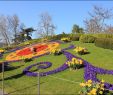 Au Jardin Fleuri Best Of the Flower Clock – Geneva – tourist attractions Tropter