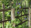 Au Jardin Fleuri Best Of Un Jardin Fleuri Et Parfumé Au Coeur Du Périgord