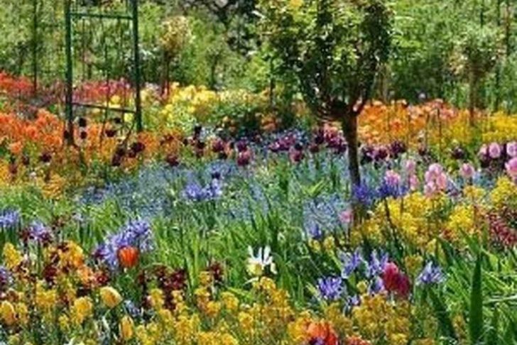 Au Jardin Fleuri Charmant 65 Fresh Beautiful Spring Garden Landscaping for Front Yard