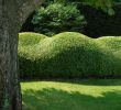 Au Jardin Fleuri Charmant these Sculptures In Buxus are Part Of A Vitalis Garden