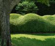 Au Jardin Fleuri Charmant these Sculptures In Buxus are Part Of A Vitalis Garden