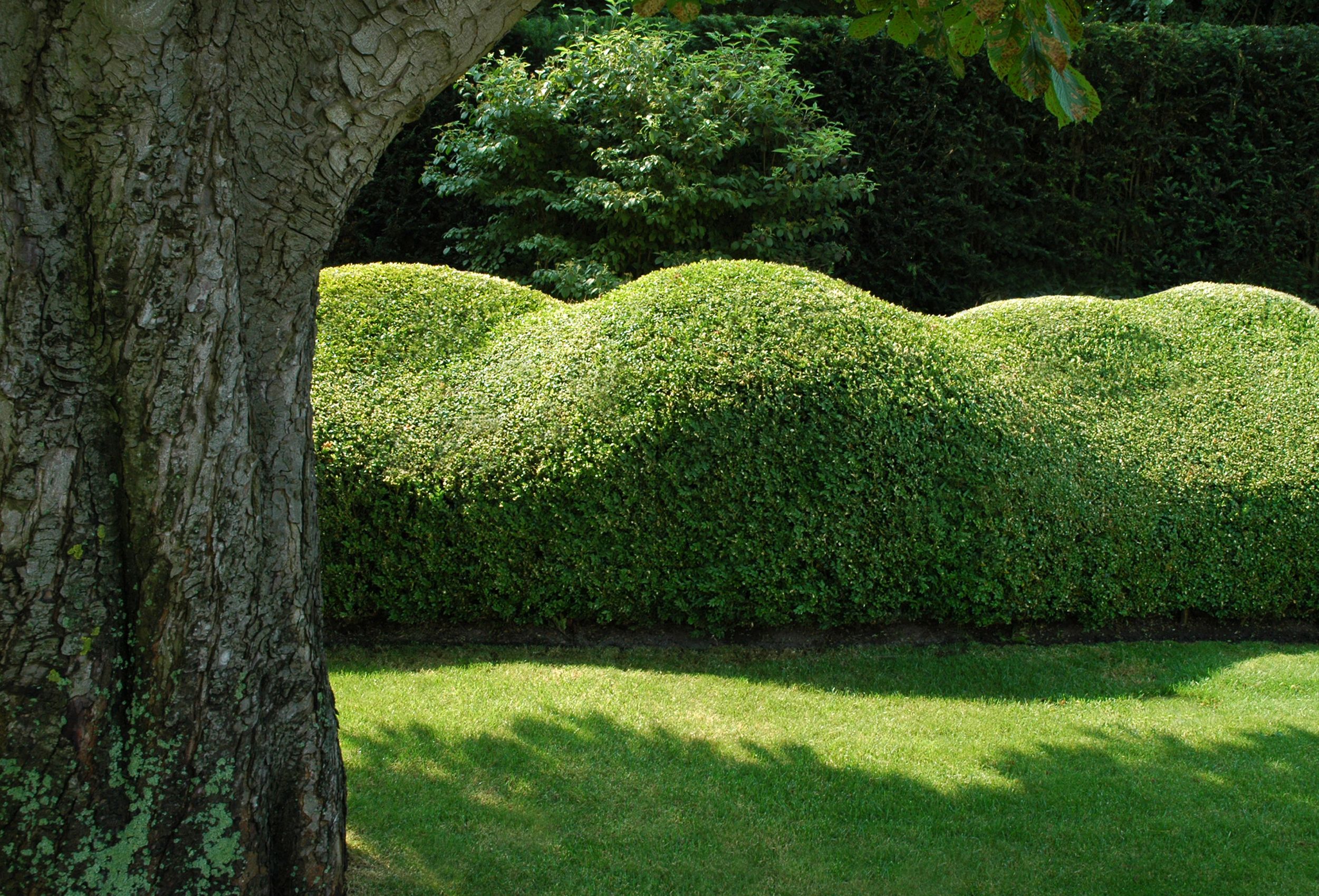 Au Jardin Fleuri Charmant these Sculptures In Buxus are Part Of A Vitalis Garden