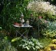 Au Jardin Fleuri Génial Jardin Ouvert   Verlain Neufchateau