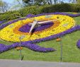 Au Jardin Fleuri Génial the Flower Clock – Geneva – tourist attractions Tropter