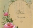 Au Jardin Fleuri Inspirant Fleurs Doux souvenir Roses Peintes   La Main Sur Cellulo¯d 1917