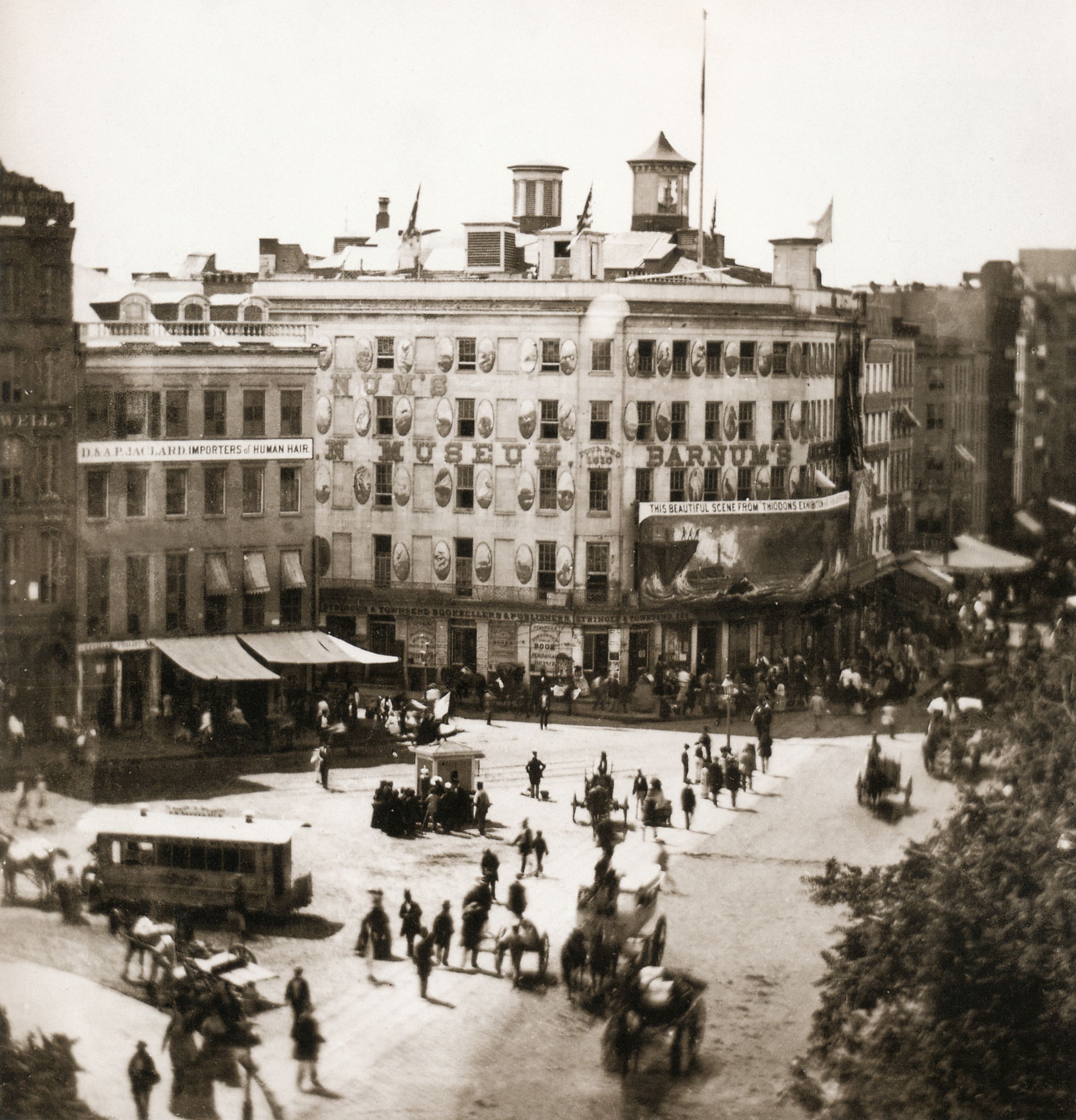 Barnum Jardin Inspirant Barnum S American Museum