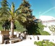 Blatte Jardin Beau Jardines De Cuenca Ronda 2020 All You Need to Know