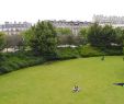 Blatte Jardin Élégant File Jardin De Reuilly Paul Pernin Paris 2 June 2015