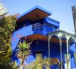 Blatte Jardin Élégant File Jardin Majorelle Wikimedia Mons