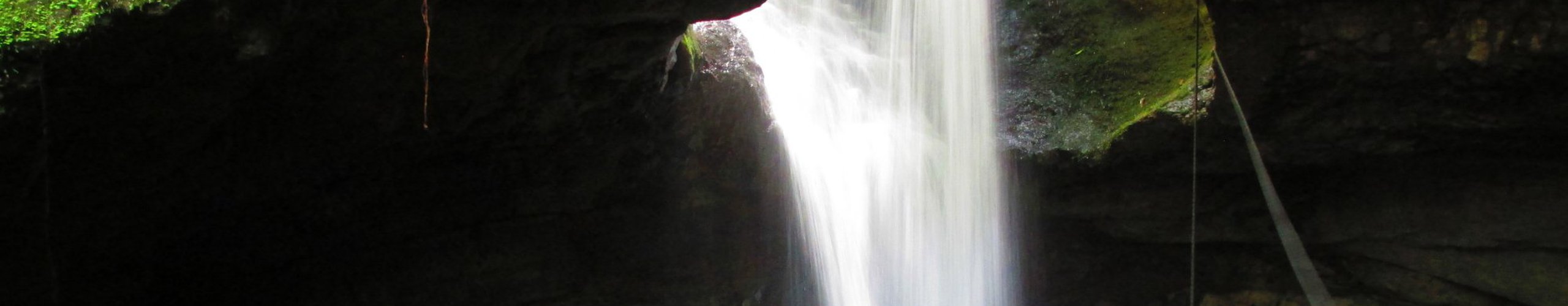 cueva del esplendor jardin