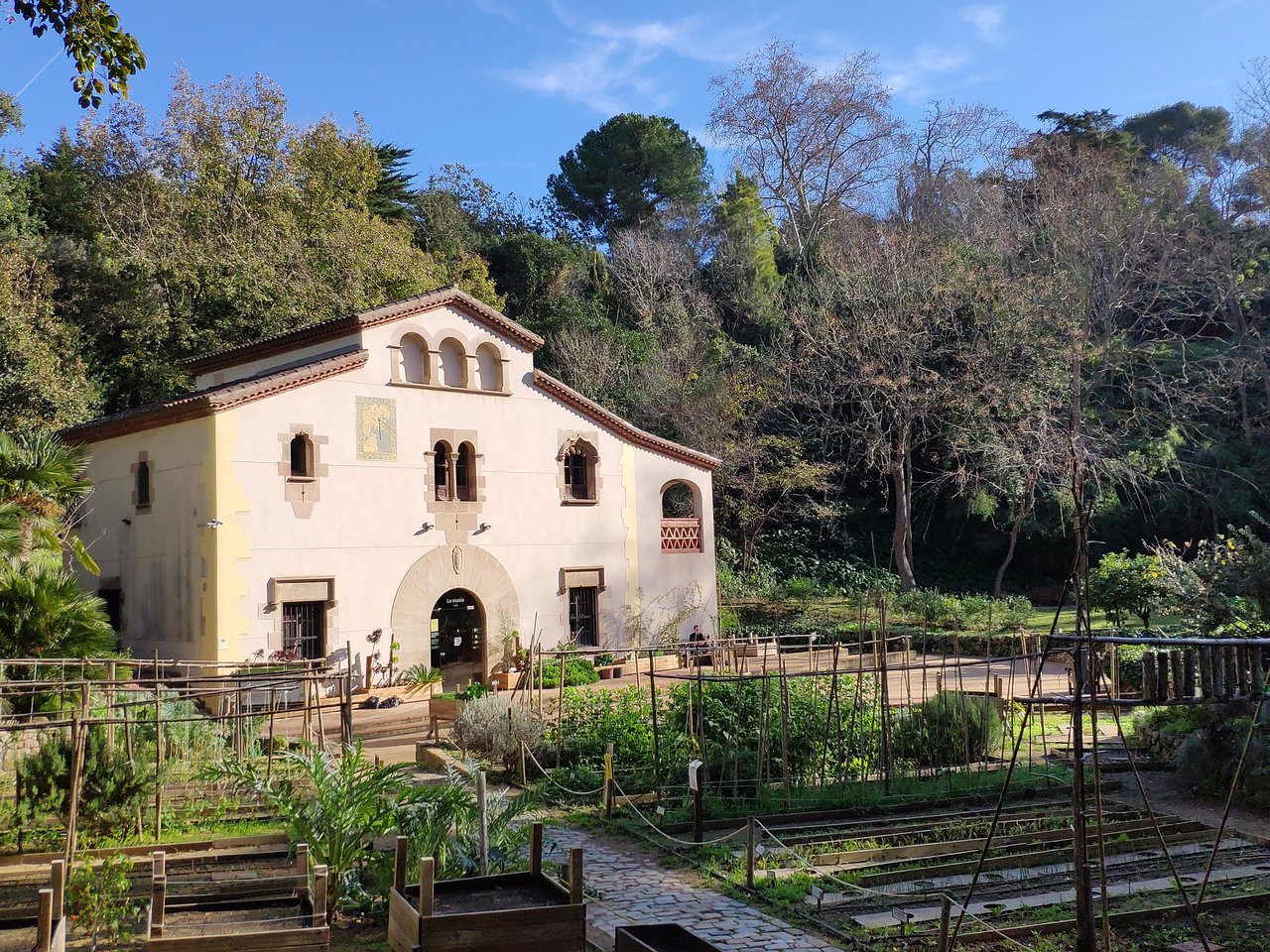 jardin botanico de barcelona