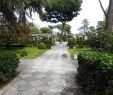 Blatte Jardin Génial Pabellon De Los Jardines De Cecilio Rodriguez Madrid