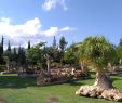 Blatte Jardin Inspirant El Sueno Jardin Botanico Dara 2020 All You Need to