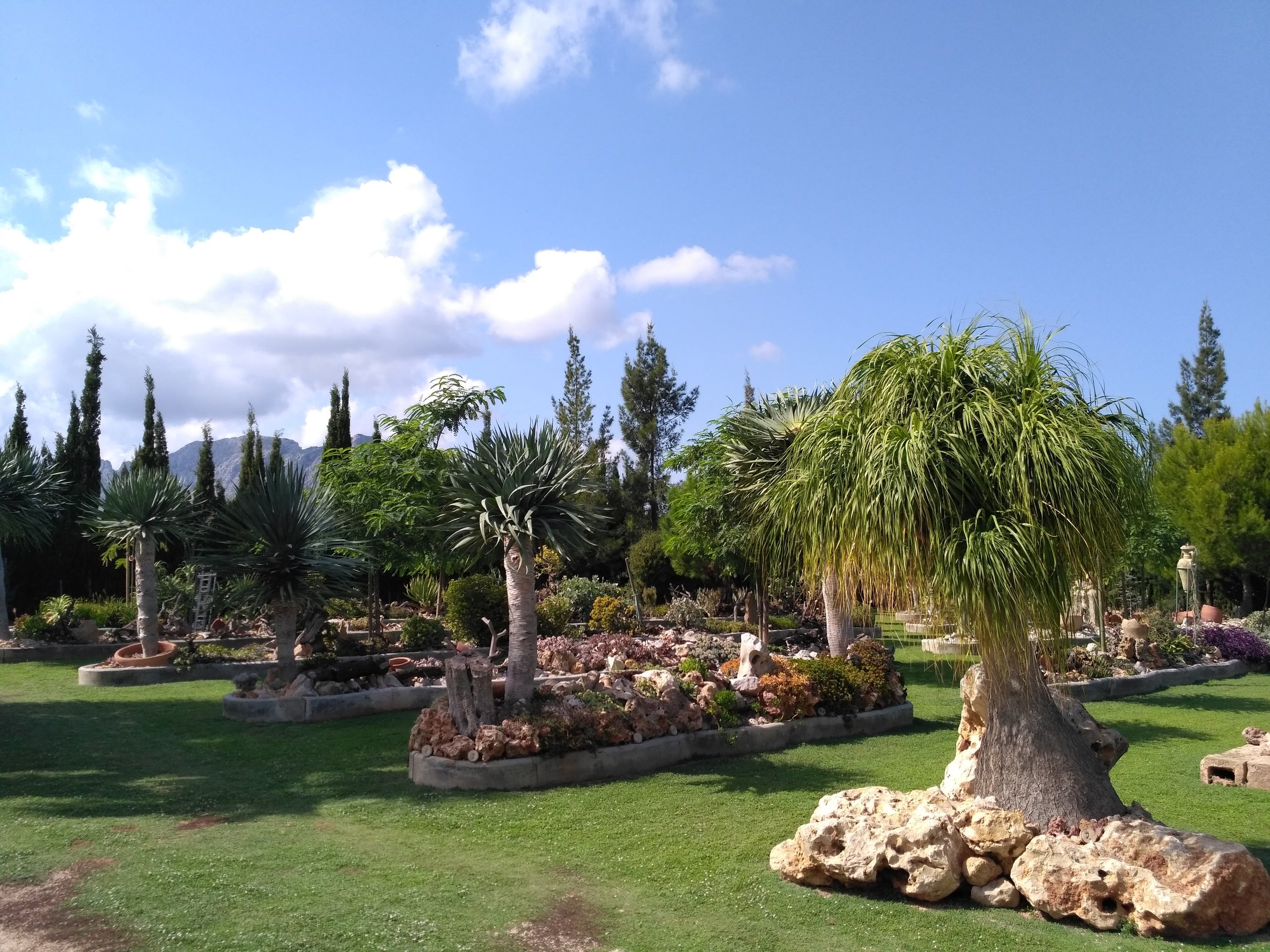 el sueno jardin botanico