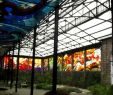 Blatte Jardin Unique File Cosmovitral Jard­n Botánico En toluca México Webm