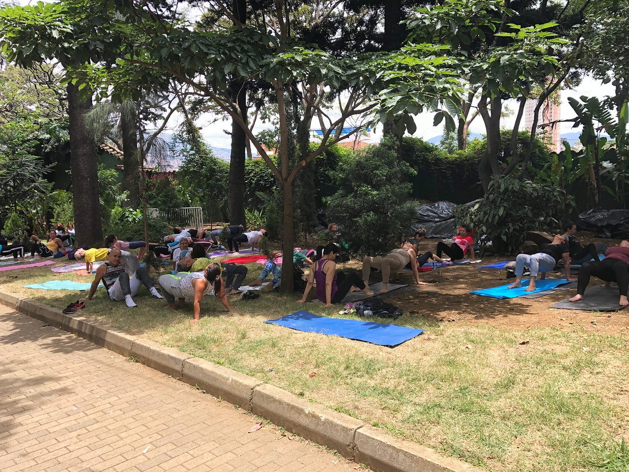 jardin botanico de medellin