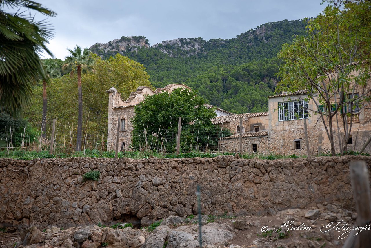 jardines de alfabia