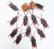 Blattes De Jardin Élégant 100pcs Lot Simulation Plastique Cockroach Halloween Party Décor Du Jour De Poisson D Avril Usurpées Simulation Dr´le De Partie Cockroach Décor