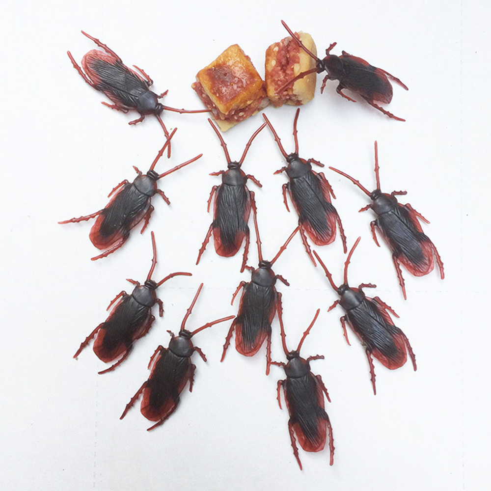 Blattes De Jardin Élégant 100pcs Lot Simulation Plastique Cockroach Halloween Party Décor Du Jour De Poisson D Avril Usurpées Simulation Dr´le De Partie Cockroach Décor