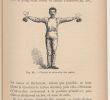Blattes De Jardin Frais La Gymnastique   La Maison   La Chambre Et Au Jardin Par