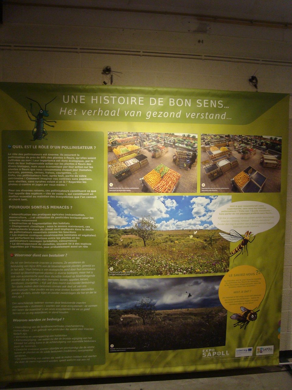 Blattes De Jardin Inspirant Musee D Histoire Naturelle Et Vivarium tournai 2020 All