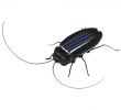 Blattes De Jardin Nouveau Httoy Dr´le Blagues Nouveau Gros solaire Cockroach D Insectes Bug Teaching toy Cadeau Bébé Enfants En Plastique Insectes solaire Pour Childred Jouets