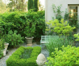 Blog Jardin Beau Thinking Green