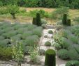 Blog Jardin Génial the Provence Post Five Gorgeous Provence Gardens to Visit