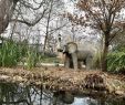 Blog Jardin Nouveau Jardin D Acclimatation Paris 2020 All You Need to Know