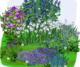 Bordure Jardin Truffaut Beau Jardin Bleu Blanc Et Pourpre