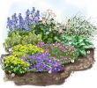 Bordure Jardin Truffaut Beau Les Vivaces Fleuries Au Jardin