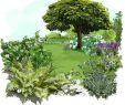 Bordure Jardin Truffaut Best Of Un Jardin Rafraichissant