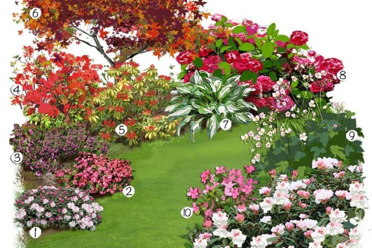 Bordure Jardin Truffaut Élégant Les Plantes De Terre De Bruy¨re En Folie Jardin Extérieur