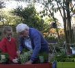 Bordure Jardin Truffaut Génial Ment Créer Un Jardin D Herbes Aromatiques Jardinerie Truffaut Tv