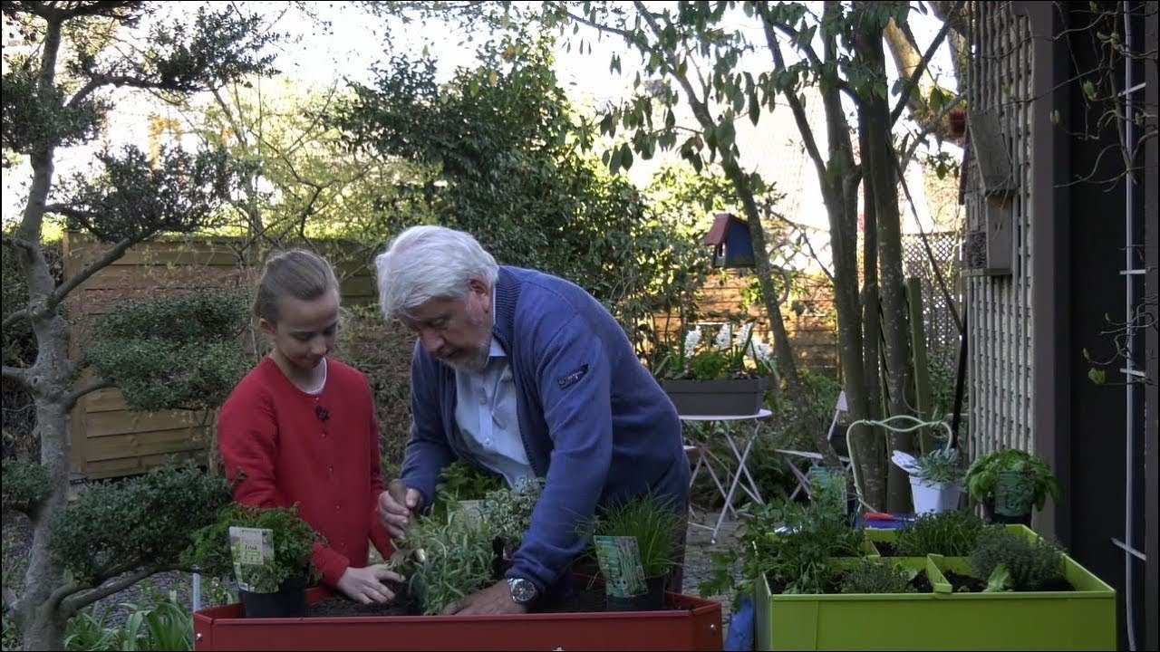 Bordure Jardin Truffaut Génial Ment Créer Un Jardin D Herbes Aromatiques Jardinerie Truffaut Tv