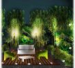 Bordure Jardin Truffaut Inspirant Jardin Nocturne