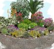 Bordure Jardin Truffaut Inspirant Jardin Sec