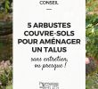 Bordure Jardin Truffaut Unique Les 538 Meilleures Images De Jardin Arbres Et Arbustes